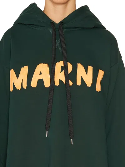 Shop Marni Green Logo Hoodie For Women This Fw23 Season