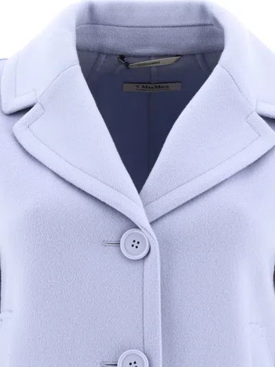 Shop Max Mara S "moon" Single-breasted Wool Pea Jacket In Light Blue