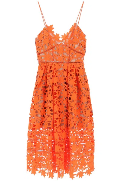 Shop Self-portrait Floral Lace Midi Dress In Orange For Women