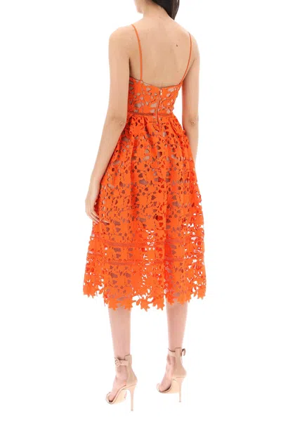 Shop Self-portrait Floral Lace Midi Dress In Orange For Women