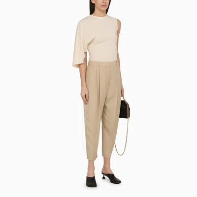 Shop Stella Mccartney Pleated Tailored Trousers For Women In Brown For Ss24