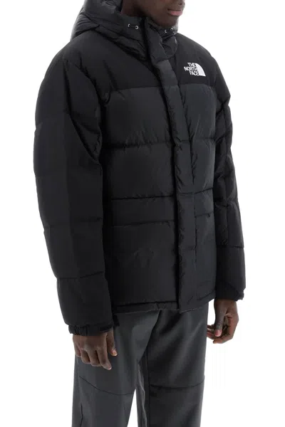Shop The North Face Men's Short Down Jacket In Black: Windproof, Recycled, With Logo And Hidden Closure