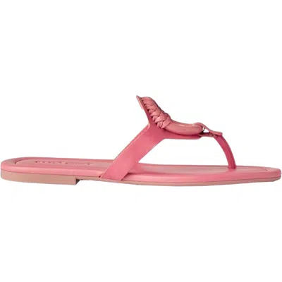 Shop See By Chloé See By Chloe Hana Thong Sandal Medium Pink