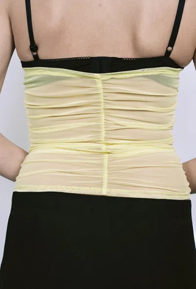 Pf24 Renzo Tube Top In Charlie