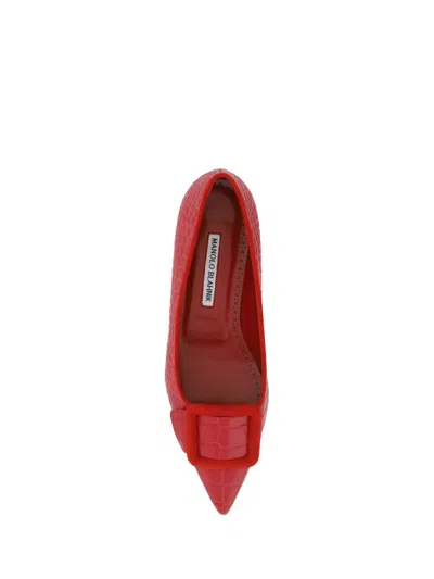 Manolo Blahnik Maysale Ballerinas In Bred