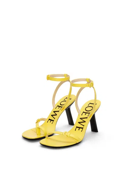 Shop Loewe Sunny Petal Stiletto Sandals For Women In Yellow