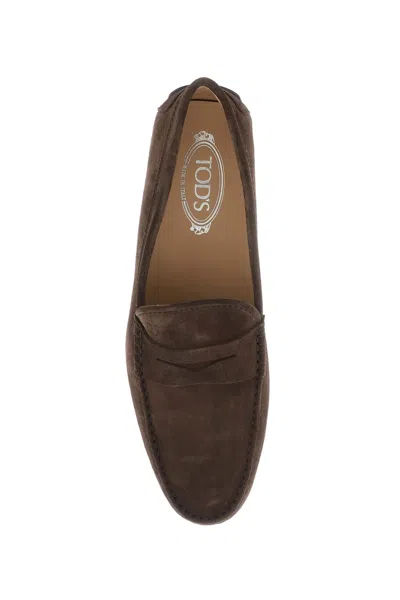 Shop Tod's Luxurious Brown Rubber Suede Driver Loafers For Men