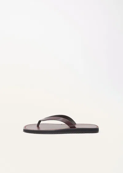 Shop The Row City Flip Flop In Bordeaux