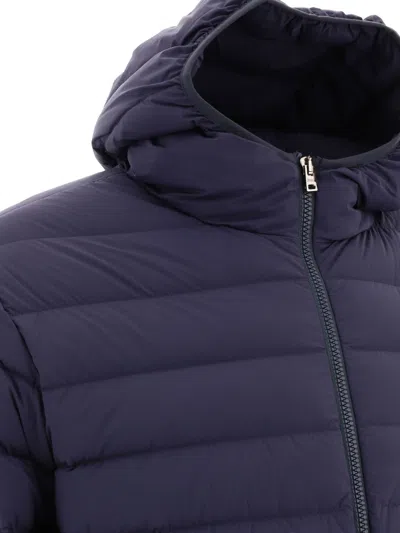 Herno Jacket
