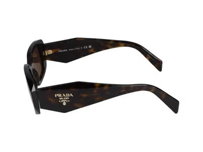 Shop Prada Sunglasses In Tartarugato