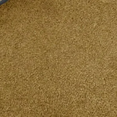 Isabel Marant Beige Suede Sandals With Decorative Buckles In Black