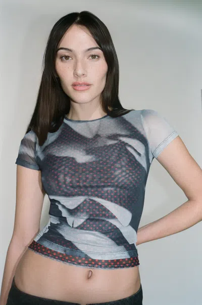 Pf24 Mini Tee In Feather Print