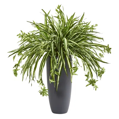 Homplanti Spider Artificial Plant In Cylinder Planter 33"