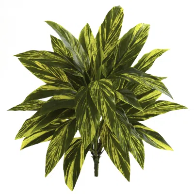 Homplanti Tradescantia Artificial Plant (real Touch) (set Of 6) 19"