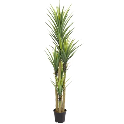 Homplanti Dracaena Artificial Plant