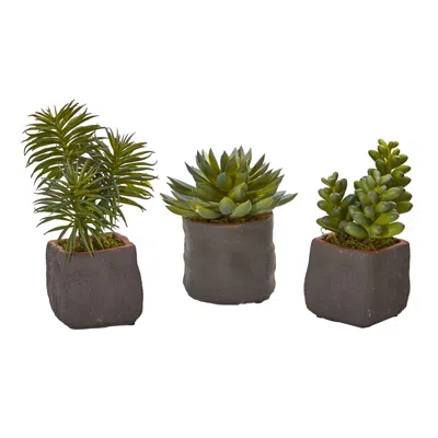 Homplanti Mixed Succulent Trio Artificial Plant (set Of 3)