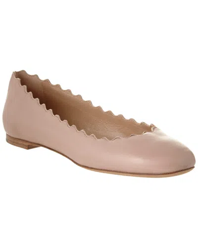 Shop Chloé Lauren Scalloped Leather Ballerina Flat In Pink