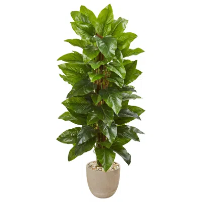 Homplanti Large Leaf Philodendron Artificial Plant In Sand Stone Planter (real Touch) 58"