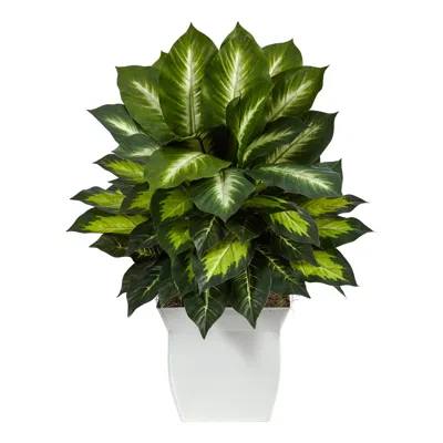 Homplanti Golden Dieffenbachia Artificial Plant In White Metal Planter 2"