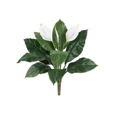 Homplanti Spathifyllum Artificial Plant (set Of 3) 24"