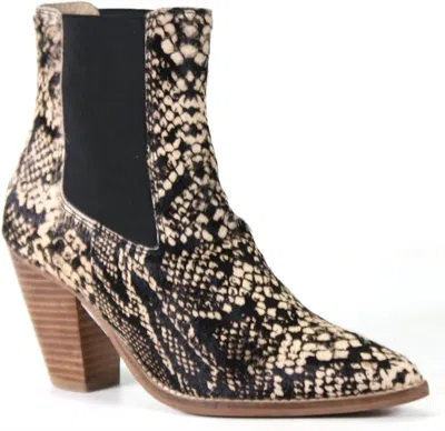 Diba True Womens Sound Off Snake Chelsea Boots In Beige/black In Black