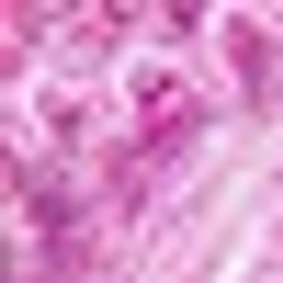Bebe Lace Three Pack Bikini Set In Violet