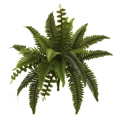 Homplanti Boston Fern Artificial Plant (set Of 6) 14"