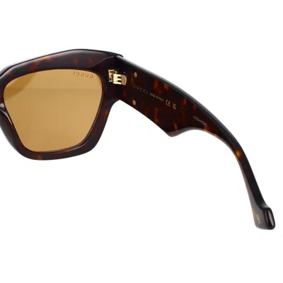 Gucci Gg1422s003 Havana Havana Brown In Havana