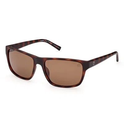 Timberland Sunglasses In Havana