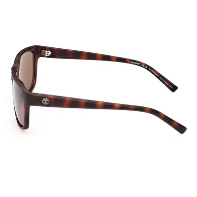 Timberland Sunglasses In Havana