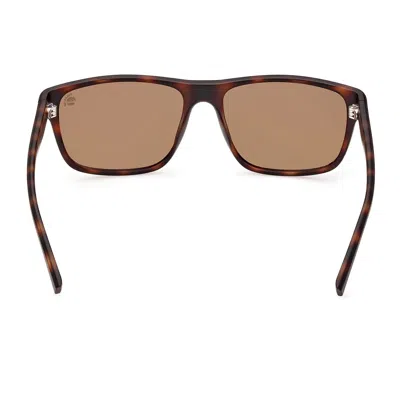 Timberland Sunglasses In Havana