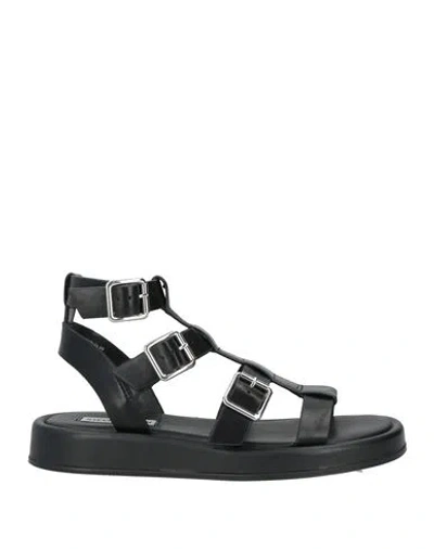 Steve Madden Woman Sandals Black Size 8 Leather In Black