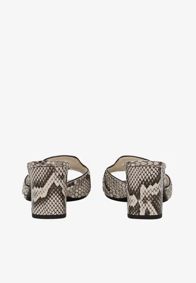 Dolce & Gabbana Python Skin Mules In Multicolor