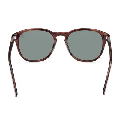 Shop Timberland Sunglasses In Brown