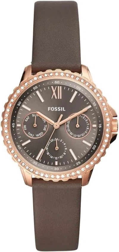 Shop Fossil Mod. Izzy Gwwt1