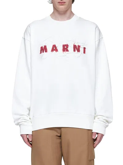 Shop Marni Sweaters In Natural White