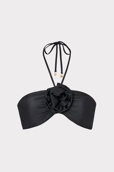 Milly Cabana  Floral Applique Halter Bikini Top In Black