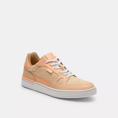 Coach Outlet Clip Low Top Sneaker In Signature Jacquard In Multi