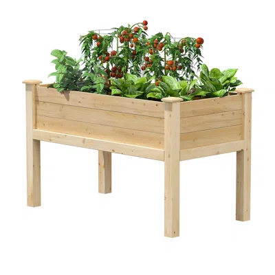 Quikfurn Farmhouse 24-in X 48-in X 31-in Cedar Elevated Victory Garden Bed - Made In Usa