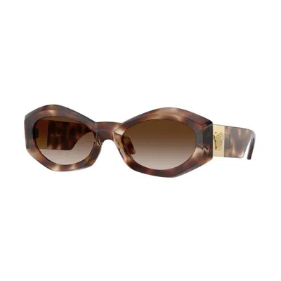 Shop Versace Sunglasses In Havana