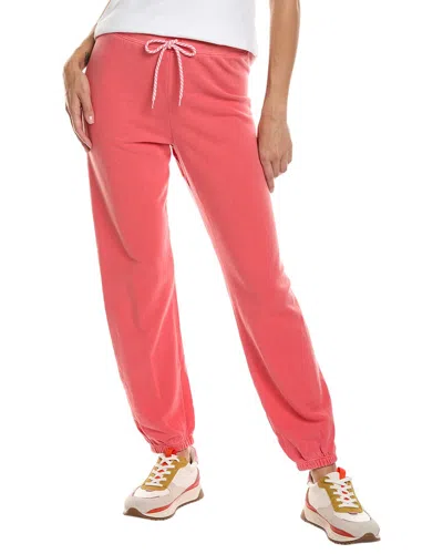 Sundry Jogger In Brown
