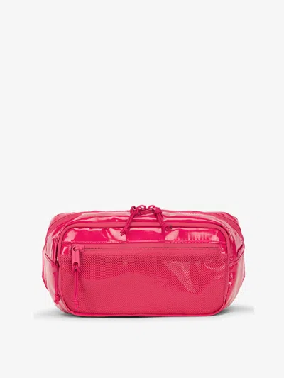 Calpak Terra Small Sling Bag In Dragonfruit In Dragonfruit