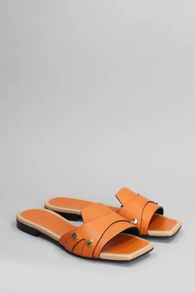 Shop Donnarã¬ Flats In Orange