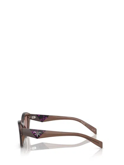 Shop Prada Eyewear Sunglasses In Brown Transparent