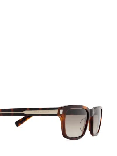 Shop Saint Laurent Eyewear Sunglasses In Havana