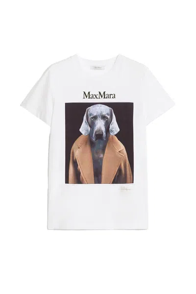 Shop Max Mara T-shirts And Polos In Brown