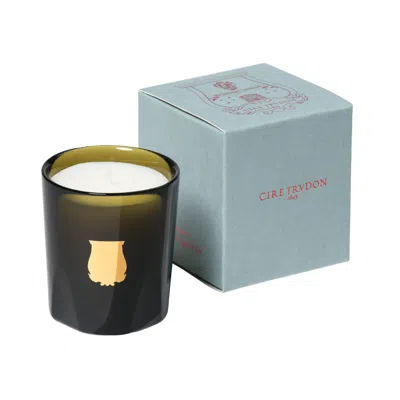 Trudon Cyrnos Candle In 2.5 oz (petite)