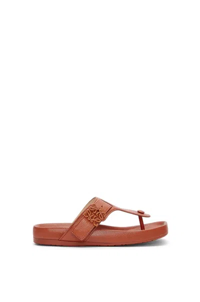 Loewe Leather Medallion Comfort Thong Sandals In Tan