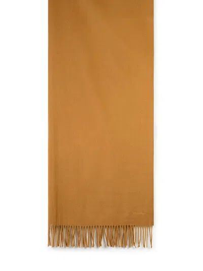 Shop Max Mara 'baci' Light Brown Chasmere Scarf