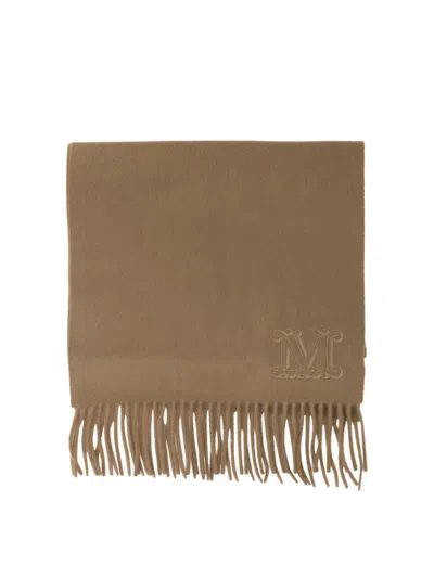 Shop Max Mara Cashmere Stole With Embroidery In Brown